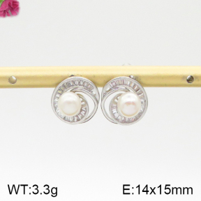 Fashion Earrings  F5E300332vhkb-K69
