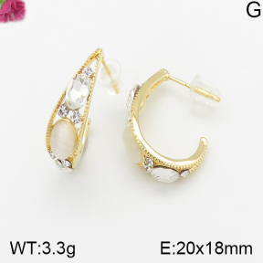 Fashion Earrings  F5E401371vhha-K69