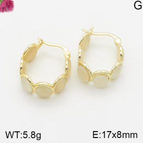 Fashion Earrings  F5E401401vhha-K69