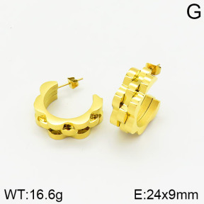 Stainless Steel Earrings  2E2001627bbml-434