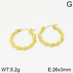 Stainless Steel Earrings  2E2001628bbov-434