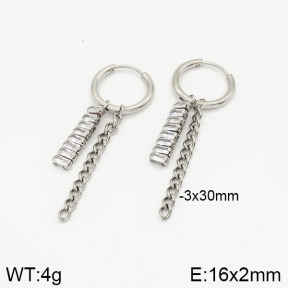 Stainless Steel Earrings  2E4002053vbmb-434
