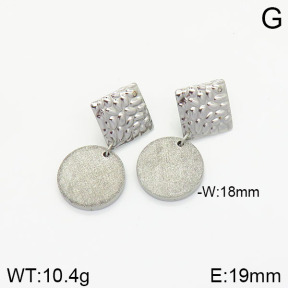 Stainless Steel Earrings  2E5000114vbmb-706