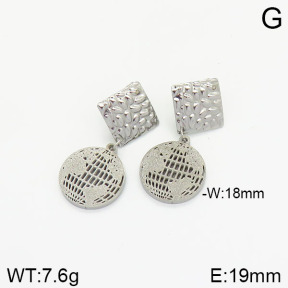 Stainless Steel Earrings  2E5000118vbmb-706