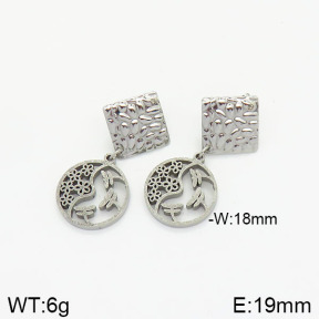 Stainless Steel Earrings  2E5000128vbmb-706