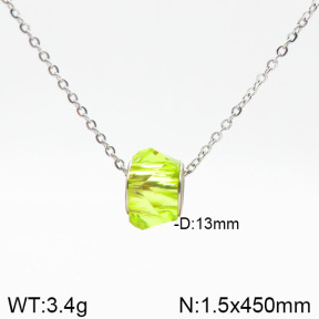 Stainless Steel Necklace  2N4001493vail-706