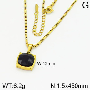 Stainless Steel Necklace  2N4001500vbll-434