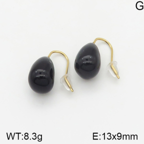 Stainless Steel Earrings  5E3000778vhhl-669