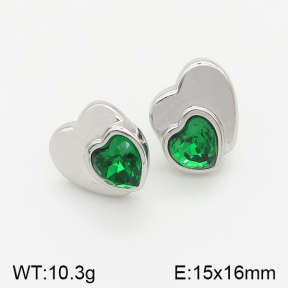 Stainless Steel Earrings  5E4001905vhhl-669