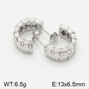 Stainless Steel Earrings  5E4001907bhjl-669