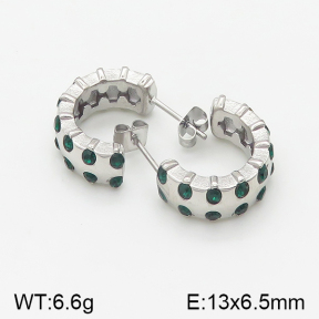 Stainless Steel Earrings  5E4001909bhjl-669