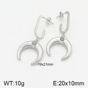 Stainless Steel Earrings  5E4001911vhkl-669