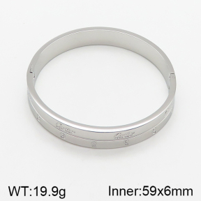 Cartier Bangles  PZ0172719vbnb-478