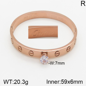 Cartier Bangles  PZ0172729vbpb-478