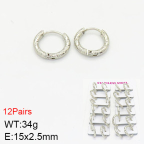 Stainless Steel Earrings  2E2001614bika-446