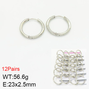 Stainless Steel Earrings  2E2001617ajjm-446