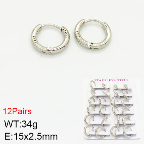 Stainless Steel Earrings  2E2001619vhlm-446