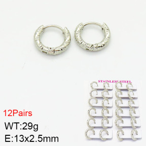 Stainless Steel Earrings  2E2001623vhlm-446
