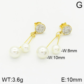 Stainless Steel Earrings  2E3001178aakl-446