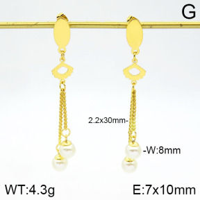 Stainless Steel Earrings  2E3001192aakl-446