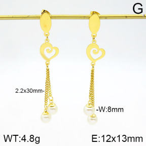 Stainless Steel Earrings  2E3001193aakl-446