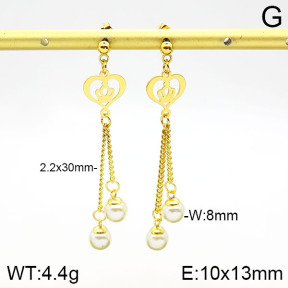 Stainless Steel Earrings  2E3001214aakl-446