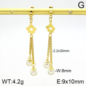 Stainless Steel Earrings  2E3001222aakl-446