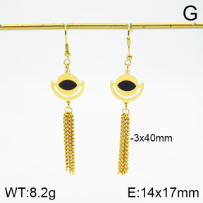 Stainless Steel Earrings  2E4002024aakl-446