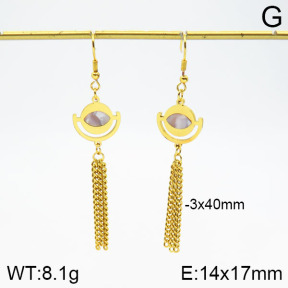 Stainless Steel Earrings  2E4002032aakl-446