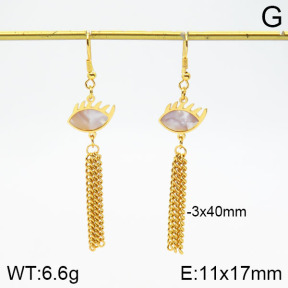 Stainless Steel Earrings  2E4002034aakl-446