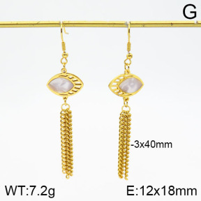 Stainless Steel Earrings  2E4002037aakl-446