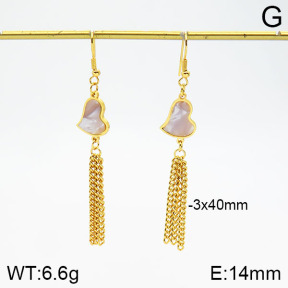 Stainless Steel Earrings  2E4002038aakl-446