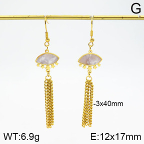 Stainless Steel Earrings  2E4002041aakl-446