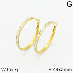 Stainless Steel Earrings  2E4002055vbnl-464
