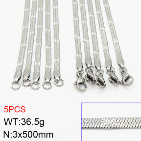 Stainless Steel Necklace  2N2002560bhil-419