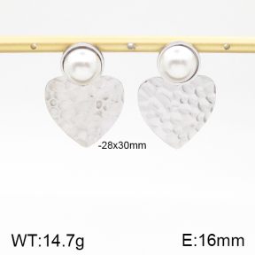 Stainless Steel Earrings  5E3000784bbml-372