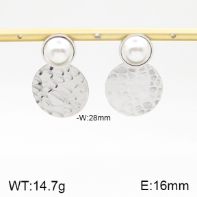 Stainless Steel Earrings  5E3000787bbml-372