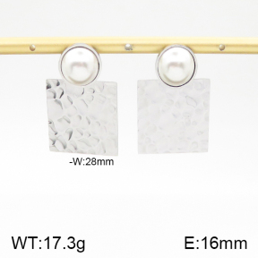 Stainless Steel Earrings  5E3000790bbml-372