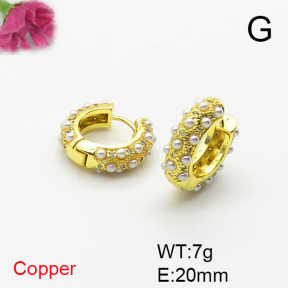 Fashion Copper Earrings  F6E404535bhva-L017