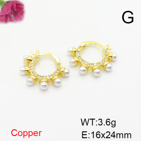Fashion Copper Earrings  F6E404572bhva-L017