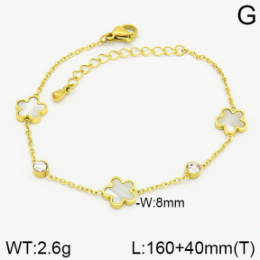 Stainless Steel Bracelet  2B4002264vbpb-669