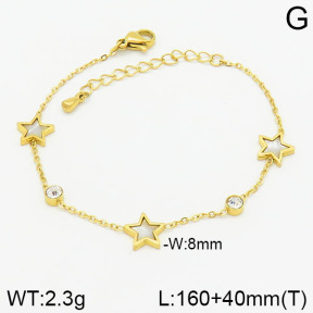 Stainless Steel Bracelet  2B4002265vbpb-669