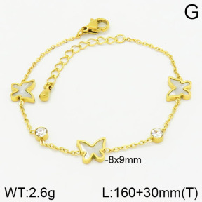 Stainless Steel Bracelet  2B4002266vbpb-669