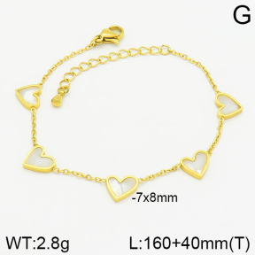 Stainless Steel Bracelet  2B4002267vbpb-669