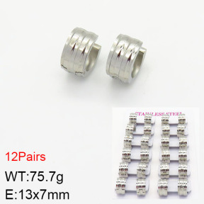 Stainless Steel Earrings  2E2001652akia-387