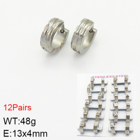 Stainless Steel Earrings  2E2001653akia-387