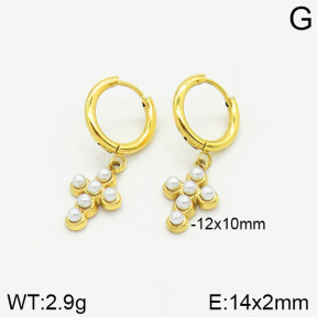 Stainless Steel Earrings  2E3001299vbpb-669