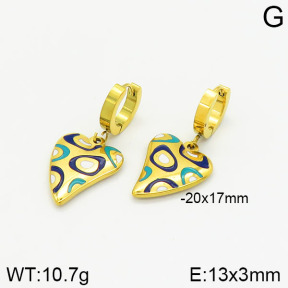 Stainless Steel Earrings  2E3001300bvpl-669