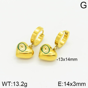 Stainless Steel Earrings  2E3001301bvpl-669