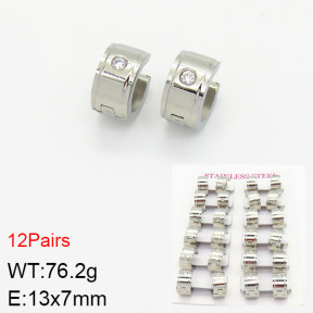 Stainless Steel Earrings  2E4002073akoa-387